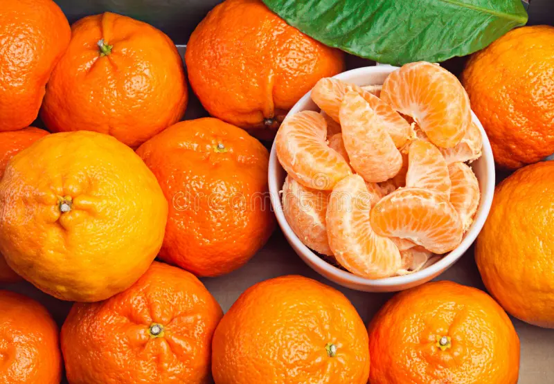 Tangerine Sin Gıda